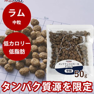 yN[|zzzi`n[xXg@eiXX[@@50g@pbN@NEWpbP[W @YhbOt[h@hCt[h@@VjA@p@ᎉb@