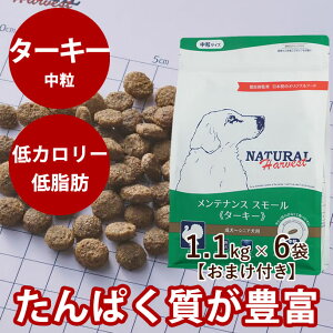 yN[|zzzy܂tzi`n[xXg eiXX[@^[L[@1.1kg×6܃Zbg@NEWpbP[W @YhbOt[h@hCt[h@@VjA@