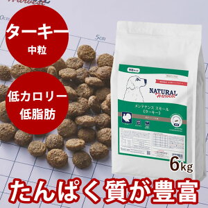 yN[|zzzi`n[xXg eiXX[@^[L[@6kg@NEWpbP[W @YhbOt[h@hCt[h@@VjA@p@ᎉb@J[