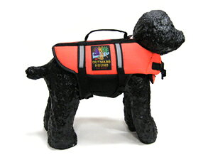 y11OFFN[|P5{zyzX[p[CtWPbg LTCY