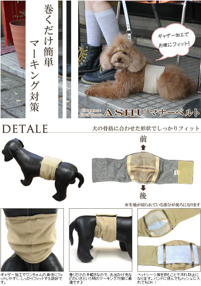 楽天市場 Ashu マナーベルト Mサイズイヌ マーキング防止 マナーバンド ドッグウエア ドッグウェア マナー 雄 オス 帝塚山ハウンドカム 楽天市場店
