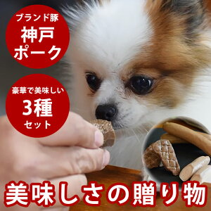 yN[|zzzp  y v~A_˃|[N3Zbg \[Z[W \[Z[Wo[ X[No[ hbOt[h _˃|[N o[ gbsO Mtg ؃o[ 