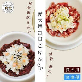 愛犬用 毎日ごはん 雑穀鶏炊き込み/雑穀鮭めし 1袋 【ハウンドカム食堂】 冷凍便 ドッグフード 国産 無添加 手作りごはん 栄養補給 食物繊維 トッピング 簡単 便利 食いつき抜群 シニア犬 パピー 成犬　冷凍ドッグフード　フレッシュドッグフード