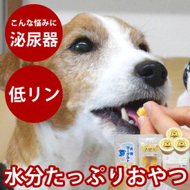 【割引クーポン配布中】尿路ケアおやつセット【ハウンドカム食堂】【冷凍便】犬 泌尿器 尿路ケア 尿路結石 水分補給 手作りごはん 老犬 食べない 食いつき トッピング ドッグフード ※ストルバイト結石・シュウ酸カルシウム結石の療法食ではございません。