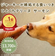 【割引クーポン配布中】犬 おやつ とっておきの ひとくち テリーヌ サーモン 100g 冷凍 無添加 国産 魚 …
