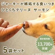 【割引クーポン配布中】とっておきのひとくちテリーヌ サーモン 100g×5袋セット 冷凍【冷凍】 犬用 おや…