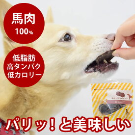 【割引クーポン配布中】犬猫用ジャーキー 馬肉100％せんべい 50g 安心・無添加おやつ 犬のおやつ 干し肉 国産