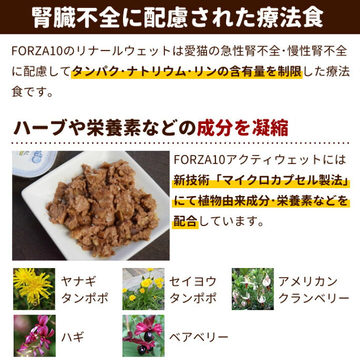 楽天市場 猫用 リナールアクティウェット 100g ラム フラットフィッシュ 腎臓用療法食 Forza10 総合栄養食 キャットフード 低リン リーナル ウェットフード ウエットフード ごはん Cat フォルツァ10 猫缶 缶詰 帝塚山ハウンドカム 楽天市場店