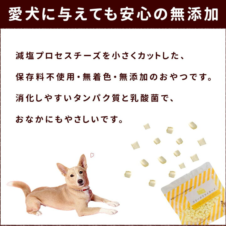 楽天市場 犬 チーズ 無添加 国産フリーズドライチーズ 手作り食 手作りごはん トリーツとして トレーニングのご褒美やトッピング ふりかけにも 無添加で猫も大喜び 無添加 犬用 猫用 愛猫 猫用おやつ ドッグ 帝塚山ハウンドカム 楽天市場店 楽天市場 犬 チーズ 無添加 国産フリーズドライチーズ 手作り食 手作りごはん トリーツとして トレーニングのご褒美やトッピング ふりかけにも 無添加で猫も大喜び 無添加 犬用 猫用 愛猫 猫用おやつ ドッグ 帝塚山ハウンドカム 楽天市場店