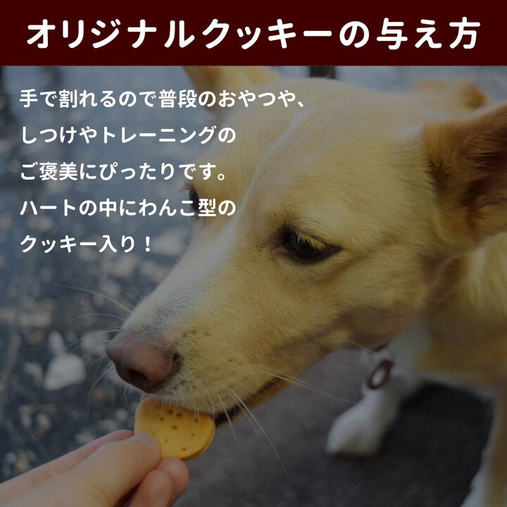 楽天市場 オリジナルクッキー 腎ケアプラス 犬 80g なた豆 クルクミン配合 国産おやつ トリーツ 犬用 人気 おすすめ 無添加 おやつ 腎臓の負担となるリンの含有量0 18 クリスマス お菓子 帝塚山ハウンドカム 楽天市場店