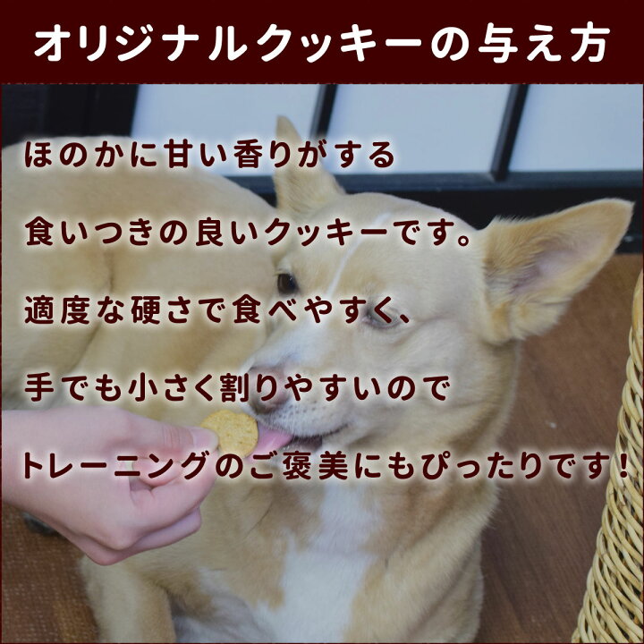 楽天市場 犬用クッキー オリジナルクッキー 膵ケアプラス 80g 犬用 無添加おやつ 国産 低脂肪 トリーツ 犬のオヤツ 帝塚山ハウンドカム 楽天市場店