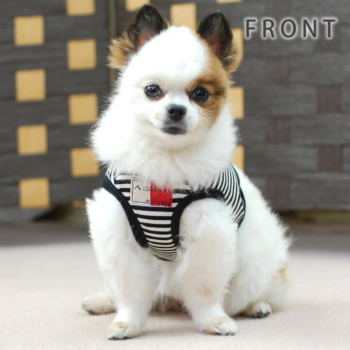楽天市場 小型犬 ハーネス Ashu ウェアハーネスボーダー リードセットs 送料無料 老犬 子犬にも痛くない 犬ハーネス ペット用品 ドッグ 楽天市場店 トイプードル チワワ おしゃれ 犬用ハーネス 散歩用リード 高齢犬 シニア お散歩 アッシュ 服の上から 帝塚山