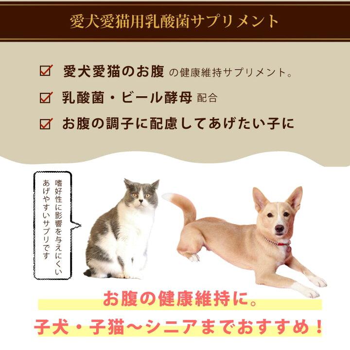 楽天市場 猫用 約50日分 乳酸菌 サプリメント イーストスリム 100g 猫用サプリ 仔猫から老猫まで A0004 犬猫用 腸内環境の健康維持に ビール酵母 ビタミンb群 帝塚山ハウンドカム 楽天市場店