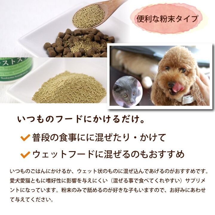 楽天市場 犬猫 乳酸菌 サプリメント イーストスリム 100g サプリ 老犬 子犬 高齢犬 シニア シニアドッグ シニア犬 ペットサプリメント 犬用品 大型犬 中型犬 栄養補助食品 帝塚山ハウンドカム 楽天市場店 楽天市場 犬猫 乳酸菌 サプリメント イーストスリム 100g サプリ 老犬 子犬 高齢犬 シニア シニアドッグ シニア犬 ペットサプリメント 犬用品 大型犬 中型犬 栄養補助食品 帝塚山ハウンドカム 楽天市場店