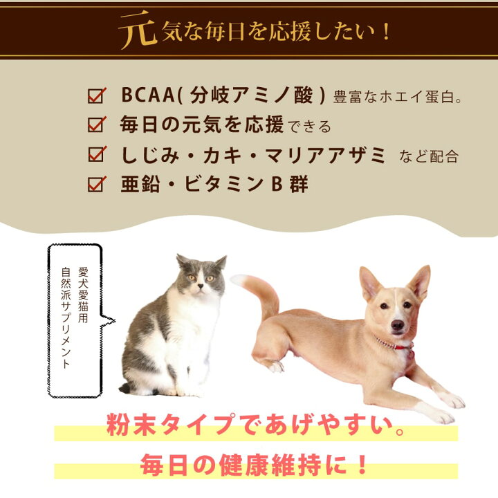 楽天市場 肝パワー元気 犬猫用 90g 肝臓用 肝用 クルクミン マリアアザミ シルマリン しじみエキス カキエキス Lオルニチン ハイチオンエキス 酵母グルタチオン 犬用 わんこ 帝塚山ハウンドカム 楽天市場店