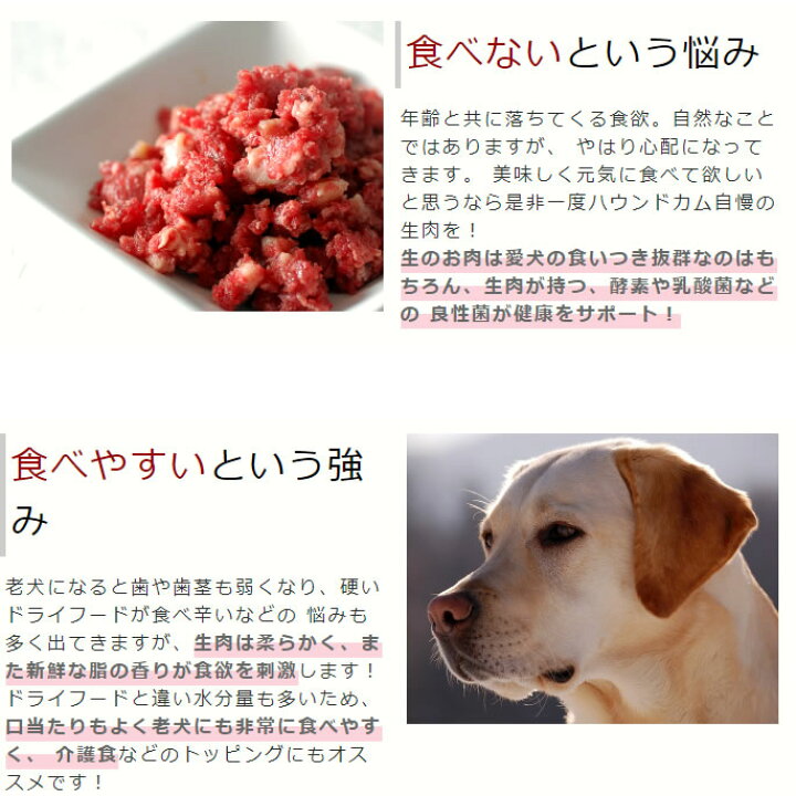 楽天市場 老犬健康生肉セット 高齢犬 シニア 老犬 馬肉 犬用 生肉 エゾ鹿肉 鹿肉 犬 酵素 ペット ミンチ 低カロリー サプリメント 乳酸菌 ペット用品 コエンザイムq10 タウリン aa 犬馬肉 犬用馬肉 犬用生肉 生馬肉 高齢犬 シニア 帝塚山ハウンドカム 楽天市場店