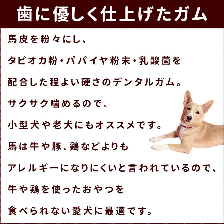 楽天市場 愛犬用ガム 馬皮サクサクデンタルガム ガム デンタルトリーツ 犬用歯磨きガム 柔らかめガム 子犬 老犬 おやつ デンタルガム 食いつき抜群 馬皮ガム 安心無添加 噛むおやつ チキンアレルギーの愛犬に 豚アレルギーの愛犬に 牛アレルギーの愛犬に 乳酸菌 パパイヤ