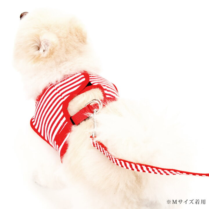 楽天市場 小型犬用ハーネス Ashuウエアハーネスボーダーs リードは別売り プードル 子犬 人気の赤 黒 服型 ベスト型ハーネス 犬 犬用 犬用 ハーネス 犬ハーネス ペット用品 トイプードル おしゃれ 散歩用 夏 アッシュ 洋服の上から 帝塚山ハウンドカム 楽天市場店