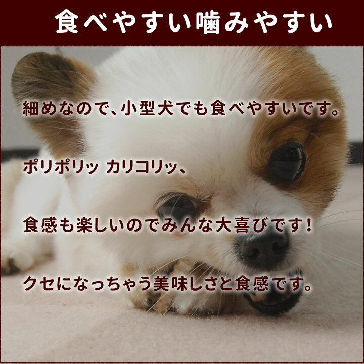 楽天市場 犬 ガム 無添加獲れたて ヨシキリ鮫軟骨中骨40g サメ 海鮮おやつ 犬用 ジャーキー 猫 魚骨ガム 歯磨き ガム おやつ ドッグフード 国産 ペット フード デンタルケア犬の歯磨き 犬のガム A0134 帝塚山ハウンドカム 楽天市場店