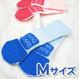 pC PA\bNXM 2{ ^~ ی ̉ V O 㑫 ׂ~ Xx~ t[O   T|[^[^CvC \bNX gCv[h `