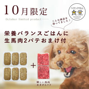 【10月限定】栄養バランスごはんがおまけ付き!犬 手作りごはん お肉を足すだけ栄養バランスごはん 無添加 国産 トッピング ふりかけ パピー シニア 消化にやさしい ペットフード 人気 お