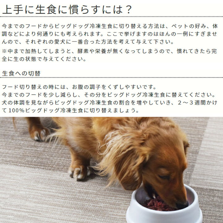 3kg 250g12枚入 オメガ3とアミノ酸が豊富 冷凍生食 総合栄養食 生のドッグフード