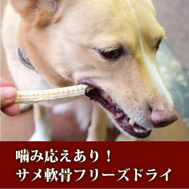 楽天市場 犬用おやつ フリーズドライ Kaimata カイマタ シャークカーティレッジ 40g サメ軟骨 犬用 子犬 成犬 老犬 無添加 帝塚山ハウンドカム 楽天市場店