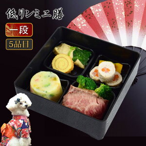 p  tɗD჊~jV 1iyⓀz pߗEybgpEybgp p   ̂ t̕SɂȂ郊Ȃ