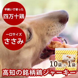 【割引クーポン配布中】犬用おやつ｜四万十鶏　ひとくちささみ 80g×10+1袋セット 無添加 国産 低脂肪　まとめ買いで1袋がお得　　鶏肉　チキン　ジャーキー　食いつき抜群　無添加ジャーキー　安心おやつ　低カロリーおやつ　高タンパク　ご褒美に最適