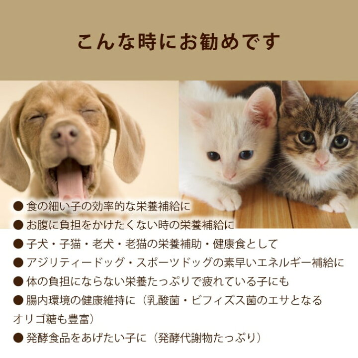 楽天市場 犬猫 酵素 酵素ドリンク スーパー元気100ml ペット用酵素エキス 酵素液 ビタミン 乳酸菌 消化酵素 老犬 子犬に 手作り食の発酵野菜 サプリメントとして 国産 犬用酵素 酵素飲料 ト ハウンドカム 犬用サプリメント 高齢犬 シニア サプリメント 植物性発酵飲料