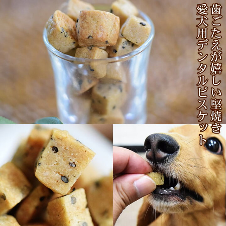 楽天市場 犬用おやつセット ミニギフトおやつアソート 犬のおやつ ドッグフード おやつ ご飯 犬オヤツ 犬おやつ オヤツ わんちゃん 帝塚山ハウンドカム 楽天市場店