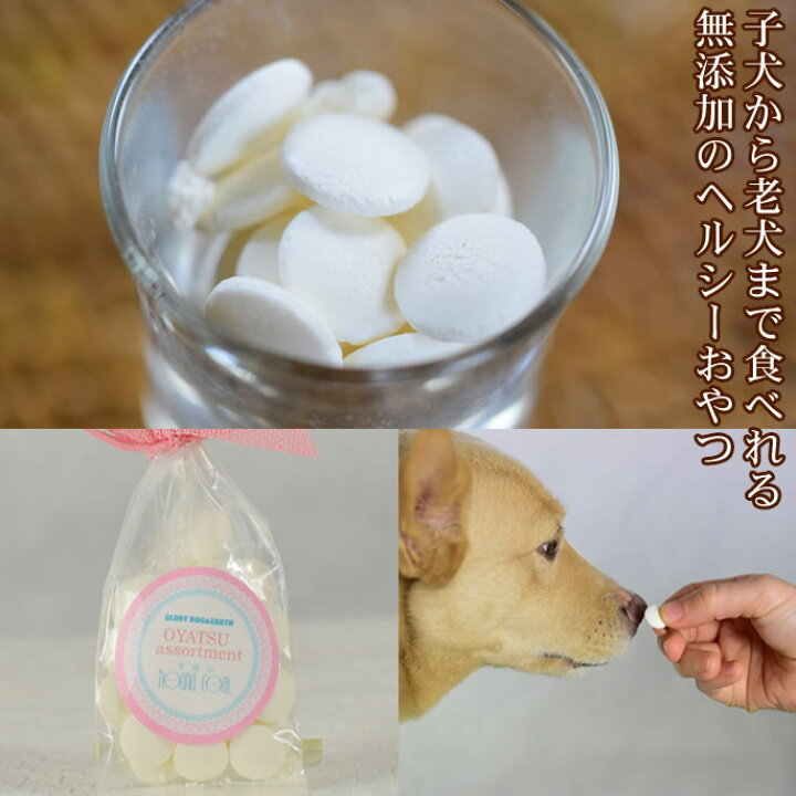 楽天市場 犬用おやつセット ミニギフトおやつアソート 犬のおやつ ドッグフード おやつ ご飯 犬オヤツ 犬おやつ オヤツ わんちゃん 帝塚山ハウンドカム 楽天市場店
