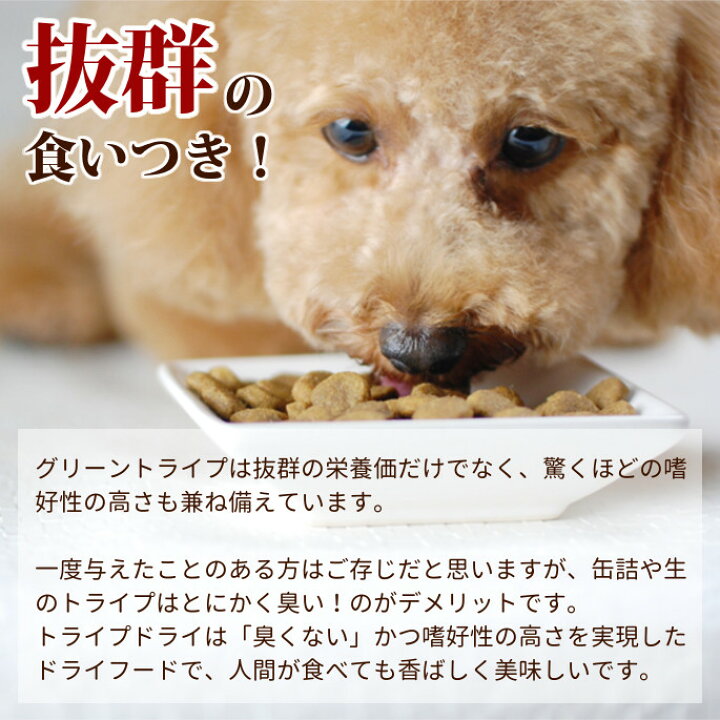 楽天市場 トライプドライ ラム2 72kg 穀物不使用の最高級フード ドッグフード お試し サンプル 子犬 グレインフリー乳酸菌 無添加 老犬 穀物フリー オメガ3 お肉と内臓主原料 犬 肉 いぬ ドッグ 高齢犬 シニア 帝塚山ハウンドカム 楽天市場店