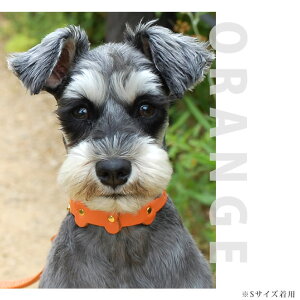 【終売】愛犬 首輪 ASHU パステルボーン カラー(首輪) Mサイズ【小型犬サイズ】 【可愛い 犬の首輪 お散歩 誕生日 プレゼント 中型犬】