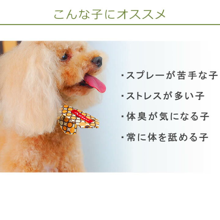 楽天市場 ペット用虫バンド Ashu アロマリボン 精油 犬のノミ取り首輪代わりに天然無害のおしゃれバンダナ 犬用バンダナ 帝塚山ハウンドカム 楽天市場店