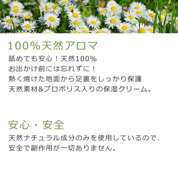 使い勝手の良い 天然素材の肉球クリーム コーンオイル １０ｇ 足裏クリーム 犬 猫 うさぎ お手入れ ケア Discoversvg Com