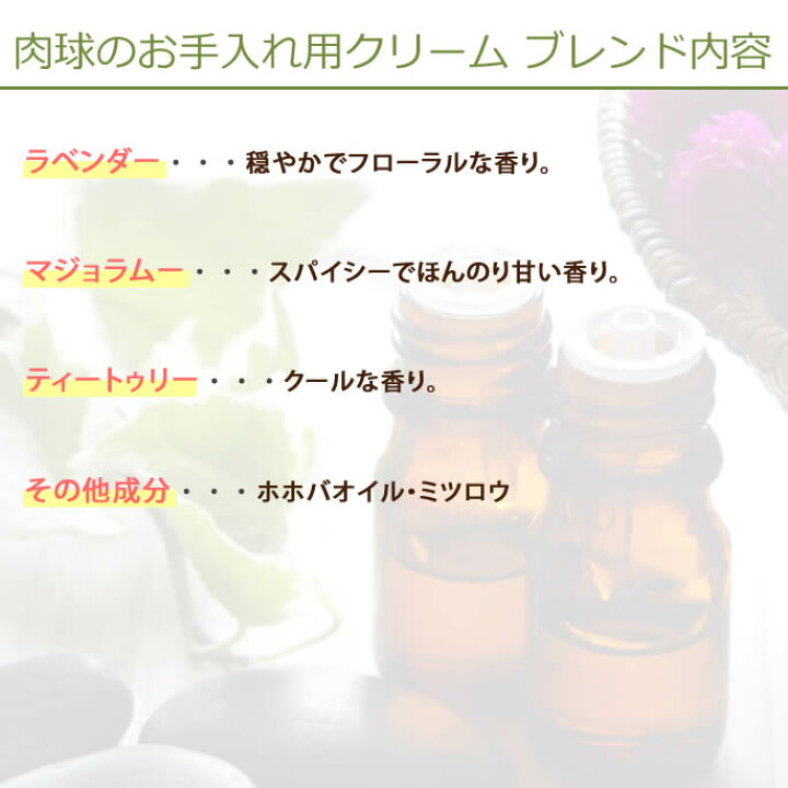ご予約品 肉球クリーム 犬 オーガニック ホホバオイルで保湿 たっぷり100g 清潔なポンプ式 冬でもやわらかハッピーピーター肉球クリーム Witravel It