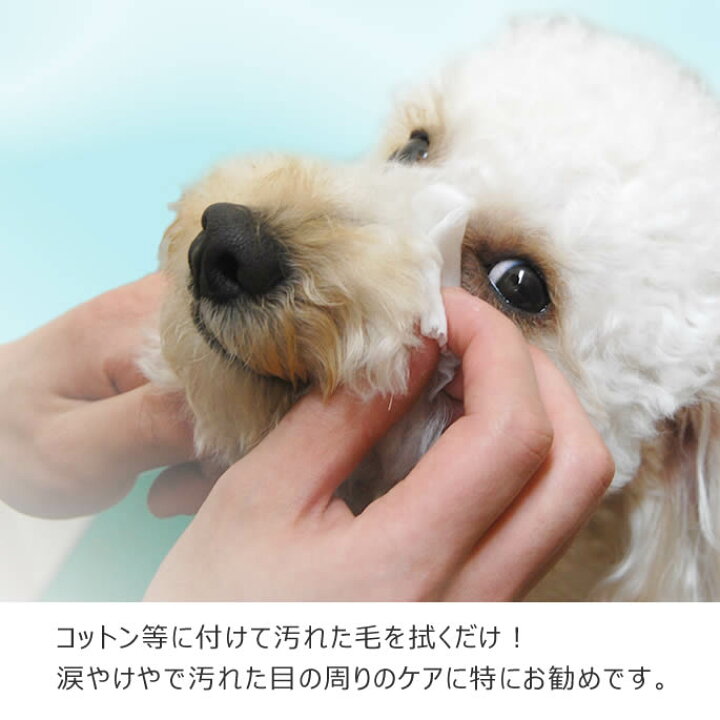 楽天市場 涙やけトルン 60ml 愛犬の としてアロマのナチュラルローション トイプードル チワワなど小型犬 ローション 犬の ケア 犬用 ナチュラル アロマオイル パグ コーギー ワンコ 帝塚山ハウンドカム 楽天市場店 楽天市場 涙やけトルン 60ml 愛犬の としてアロマのナチュラルローション トイプードル チワワなど小型犬 ローション 犬の ケア 犬用 ナチュラル アロマオイル パグ コーギー ワンコ 帝塚山ハウンドカム 楽天市場店
