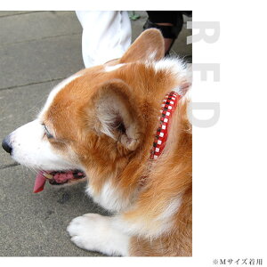 yN[|zzz ASHU sb`J[MTCYy[h͕ʔz ^ U[ vČ T[LɂlC  ̃fUC IWihbOuh p U  