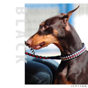 愛犬 首輪 ASHU ピッチ カラー サイズ:L【リードは別売り】 【犬 可愛い 犬の首輪 お散歩 レザー 革 誕生日 プレゼント 大型犬 ギフト 犬用ギフト 帝塚山ハウンドカム楽天市場店 ペット用品