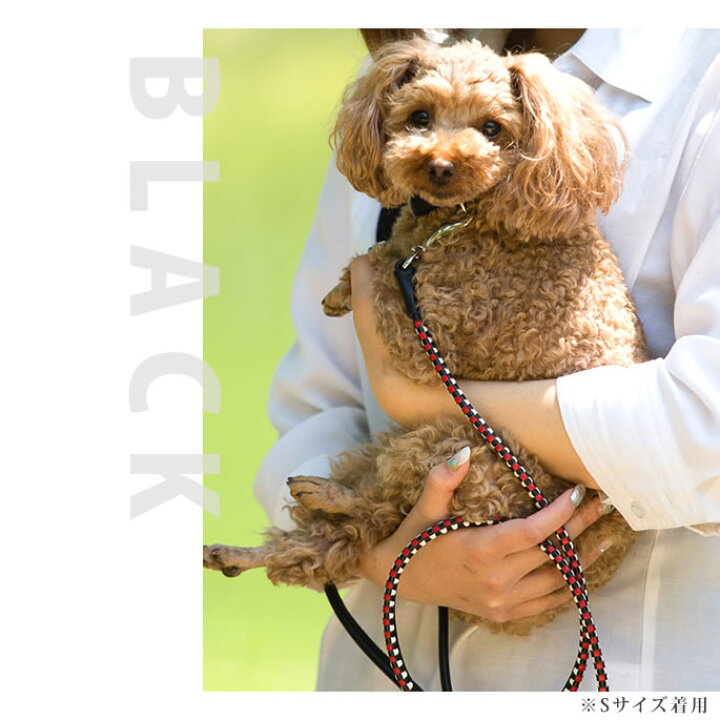 最大52 Offクーポン Choonsik ペット用 首輪ashu ピッチ リード サイズ ｓ 犬 おしゃれ お散歩 革 レザー 犬リード 犬用 犬の リード ペットリード 小型犬 仔犬 散歩用リード チワワ トイプードル 猫 ダックス パグ コーギー ペット ドッグ