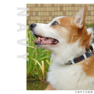   ASHU fjU[[v J[ TCYLy[h͕ʔz Ck  ̎ U U[ v a v[g ^