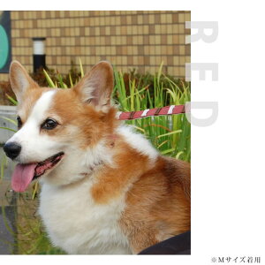   ASHU fjU[[v [h TCYM[S110cm2cm]y^A^pzy̎ U U[ v a v[g [hz