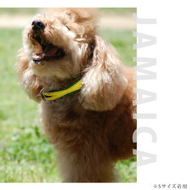 愛犬 首輪 ASHU ワールド カラー（首輪） Lサイズ 【中型犬サイズ】【リードは別売り】 イヌ 可愛い 犬の首輪 お散歩 誕生日 プレゼント テリア 中型犬】