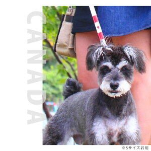 yN[|zzzASHU [h [h LTCY y^TCY  [hzCk  U eA ^ ^ [h