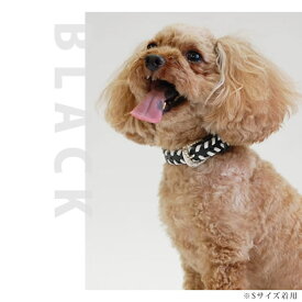 犬 首輪 ASHU サイドループレザーカラー Sサイズ【リードは別売り】