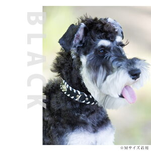 犬 首輪 ASHU サイドループレザーカラー LLサイズ【リードは別売り】 イヌ 可愛い 犬の首輪 お散歩 レザー 革 誕生日 プレゼント 大型犬