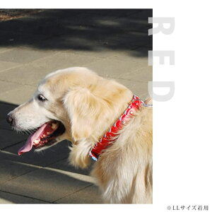   ASHU TCh[vU[J[ LLTCYy[h͕ʔz Ck  ̎ U U[ v a v[g ^