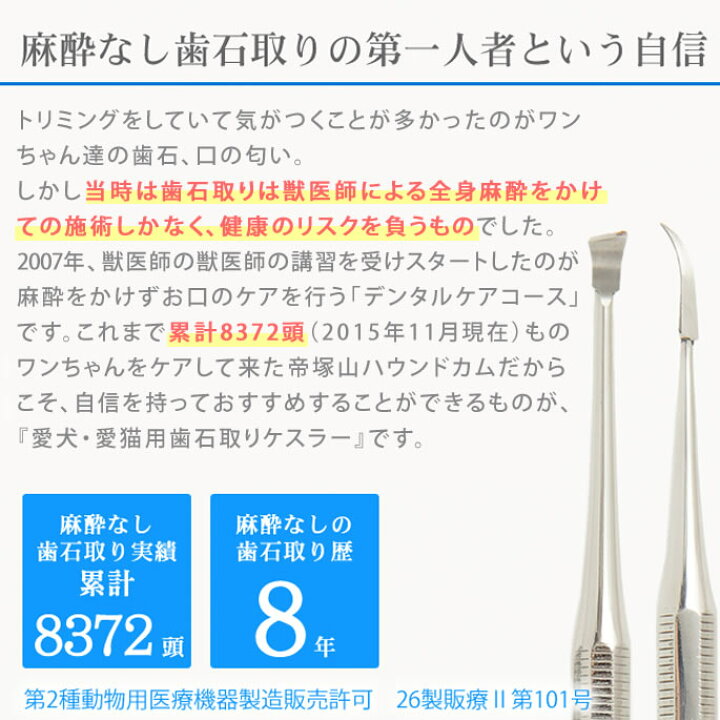 1329円 夏セール開催中 プロ仕様 スケーラー 猫用歯石除去具 歯石取り ベータ 1329円 夏セール開催中 プロ仕様 スケーラー 猫用歯石除去具 歯石取り ベータ