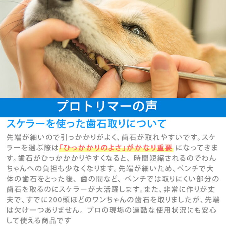 歯石取り スケーラー 愛犬 ペット 犬用 猫用 平型 ペット用品 オーラルケア